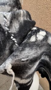 Sca120_4